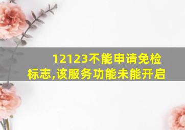 12123不能申请免检标志,该服务功能未能开启