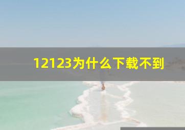 12123为什么下载不到