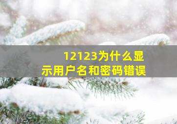 12123为什么显示用户名和密码错误