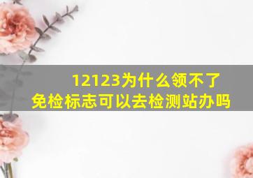 12123为什么领不了免检标志可以去检测站办吗