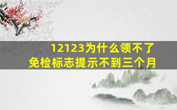 12123为什么领不了免检标志提示不到三个月