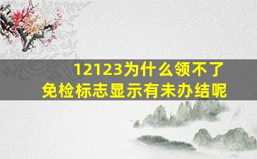 12123为什么领不了免检标志显示有未办结呢