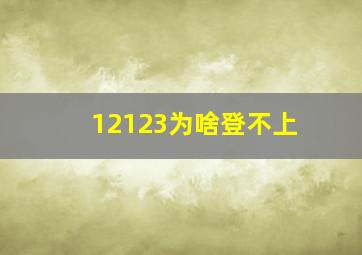 12123为啥登不上