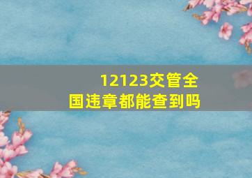 12123交管全国违章都能查到吗