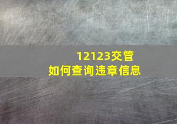 12123交管如何查询违章信息