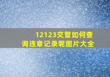 12123交管如何查询违章记录呢图片大全