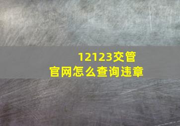 12123交管官网怎么查询违章