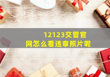 12123交管官网怎么看违章照片呢