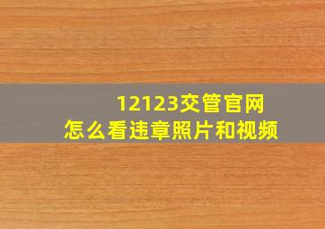 12123交管官网怎么看违章照片和视频