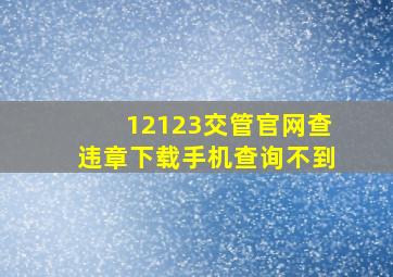 12123交管官网查违章下载手机查询不到