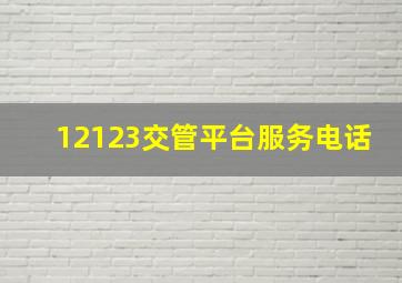 12123交管平台服务电话