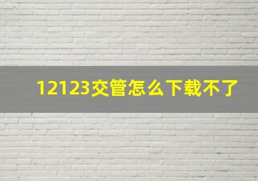 12123交管怎么下载不了