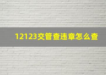 12123交管查违章怎么查