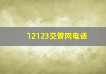 12123交管网电话