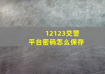 12123交警平台密码怎么保存