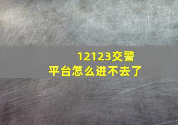 12123交警平台怎么进不去了