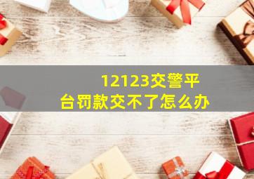 12123交警平台罚款交不了怎么办