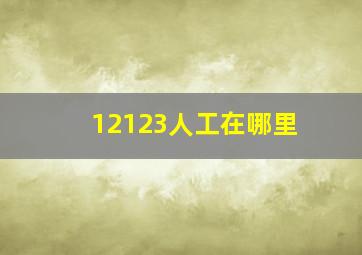 12123人工在哪里