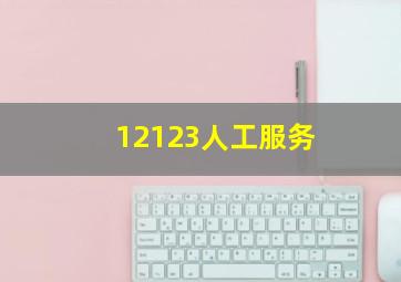 12123人工服务