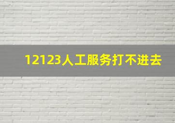 12123人工服务打不进去