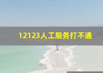 12123人工服务打不通