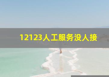 12123人工服务没人接