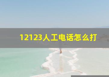 12123人工电话怎么打