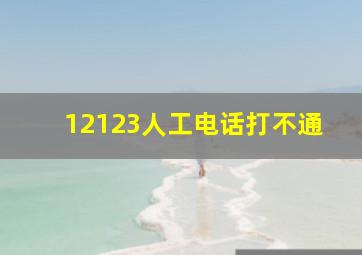 12123人工电话打不通