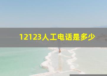 12123人工电话是多少