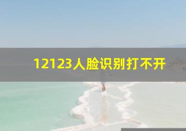 12123人脸识别打不开