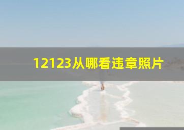 12123从哪看违章照片