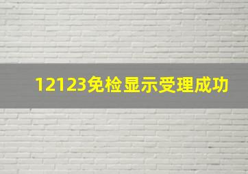 12123免检显示受理成功