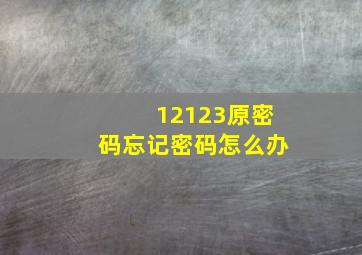 12123原密码忘记密码怎么办