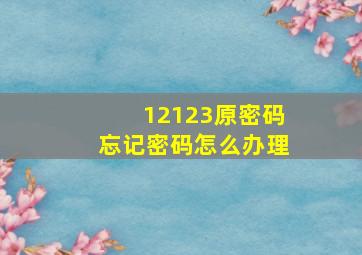 12123原密码忘记密码怎么办理