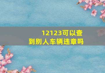 12123可以查到别人车辆违章吗