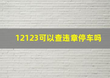 12123可以查违章停车吗