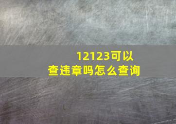 12123可以查违章吗怎么查询