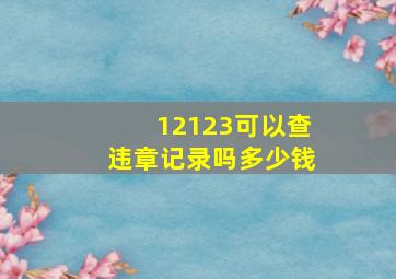 12123可以查违章记录吗多少钱