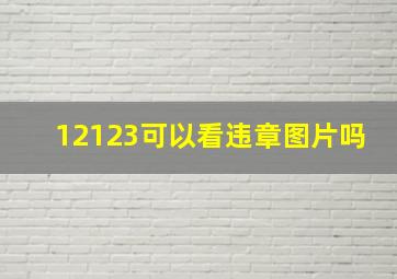 12123可以看违章图片吗