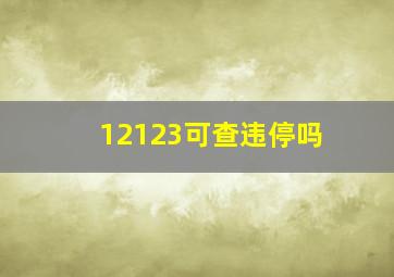 12123可查违停吗