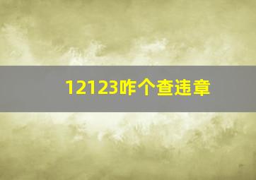 12123咋个查违章