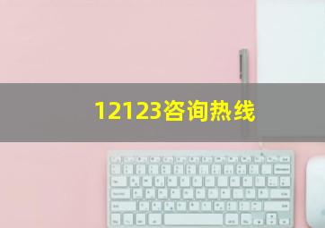 12123咨询热线