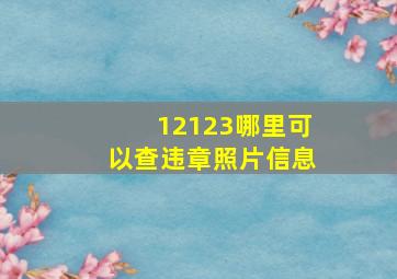 12123哪里可以查违章照片信息