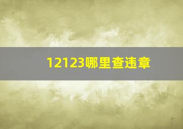 12123哪里查违章