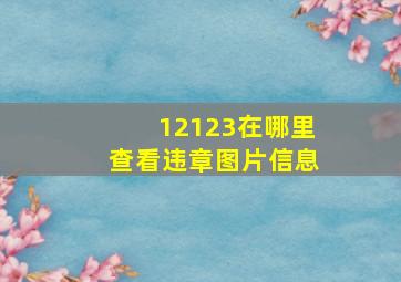 12123在哪里查看违章图片信息