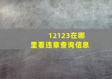 12123在哪里看违章查询信息