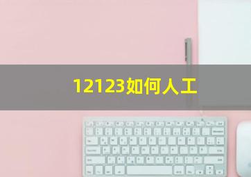 12123如何人工