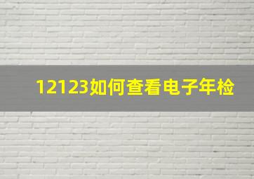 12123如何查看电子年检