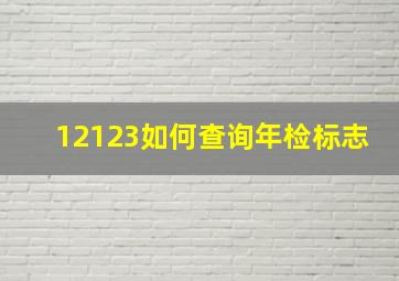 12123如何查询年检标志