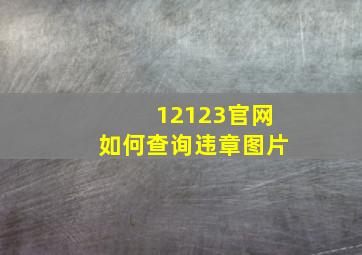 12123官网如何查询违章图片